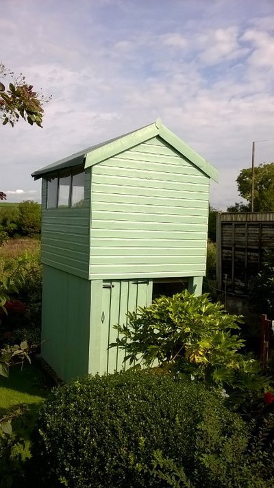 03000433.width-400