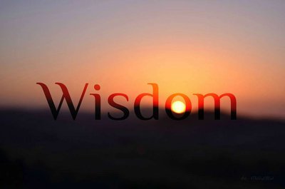 Wisdom
