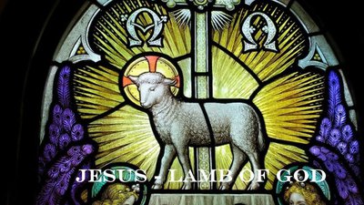 Lamb of God