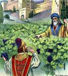 Naboth-vineyard