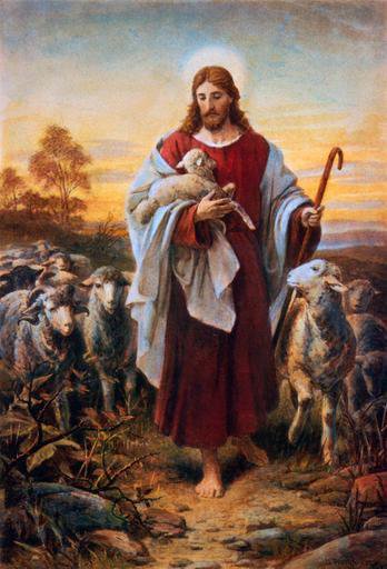 Jesus and sheep