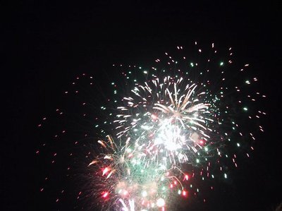 fireworks_at_night_in.jpg