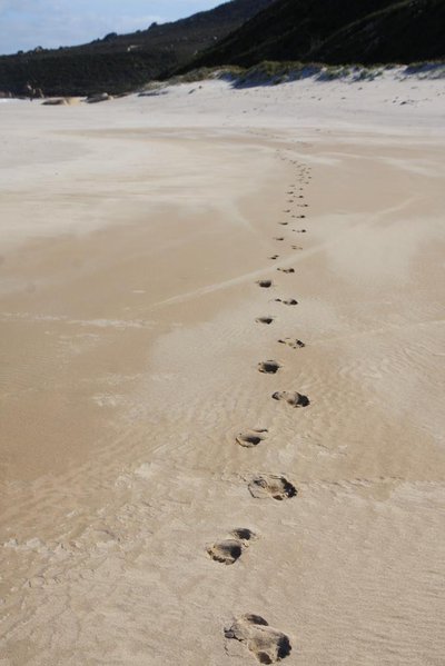 footprints_beach_tracks_walking.jpg