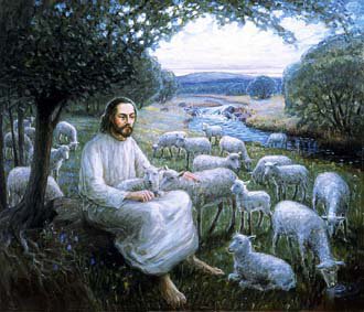 Jesus and sheep