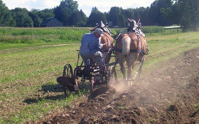 Farmer ploughing