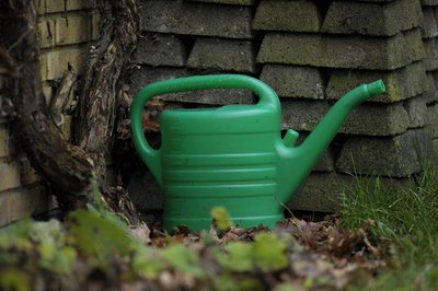 watering_can_garden_tool.jpg
